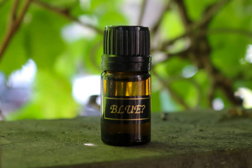 BLUE? - 5ml Pure Essential Oil